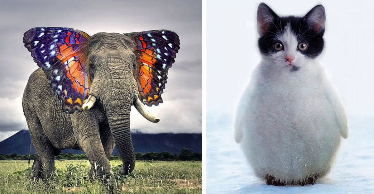 Источник: Яндекс картинки