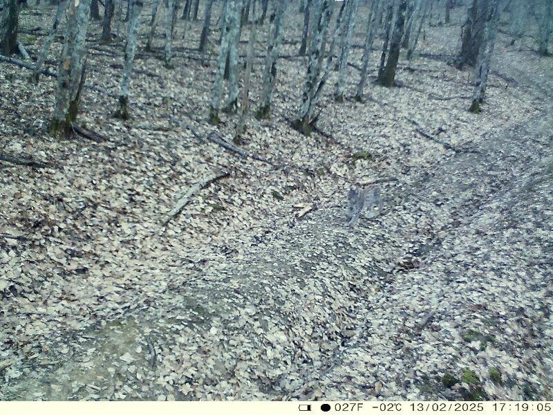 
Фото: Краснодаркрайохота