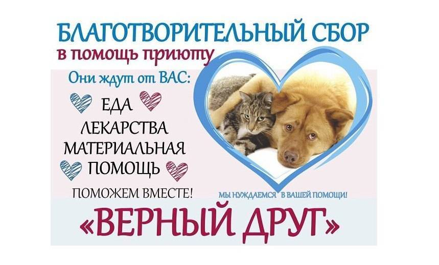 Фото с интернета