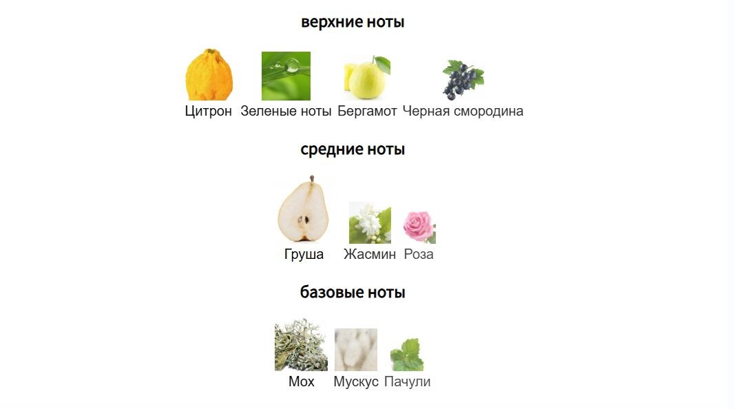 fragrantica.ru