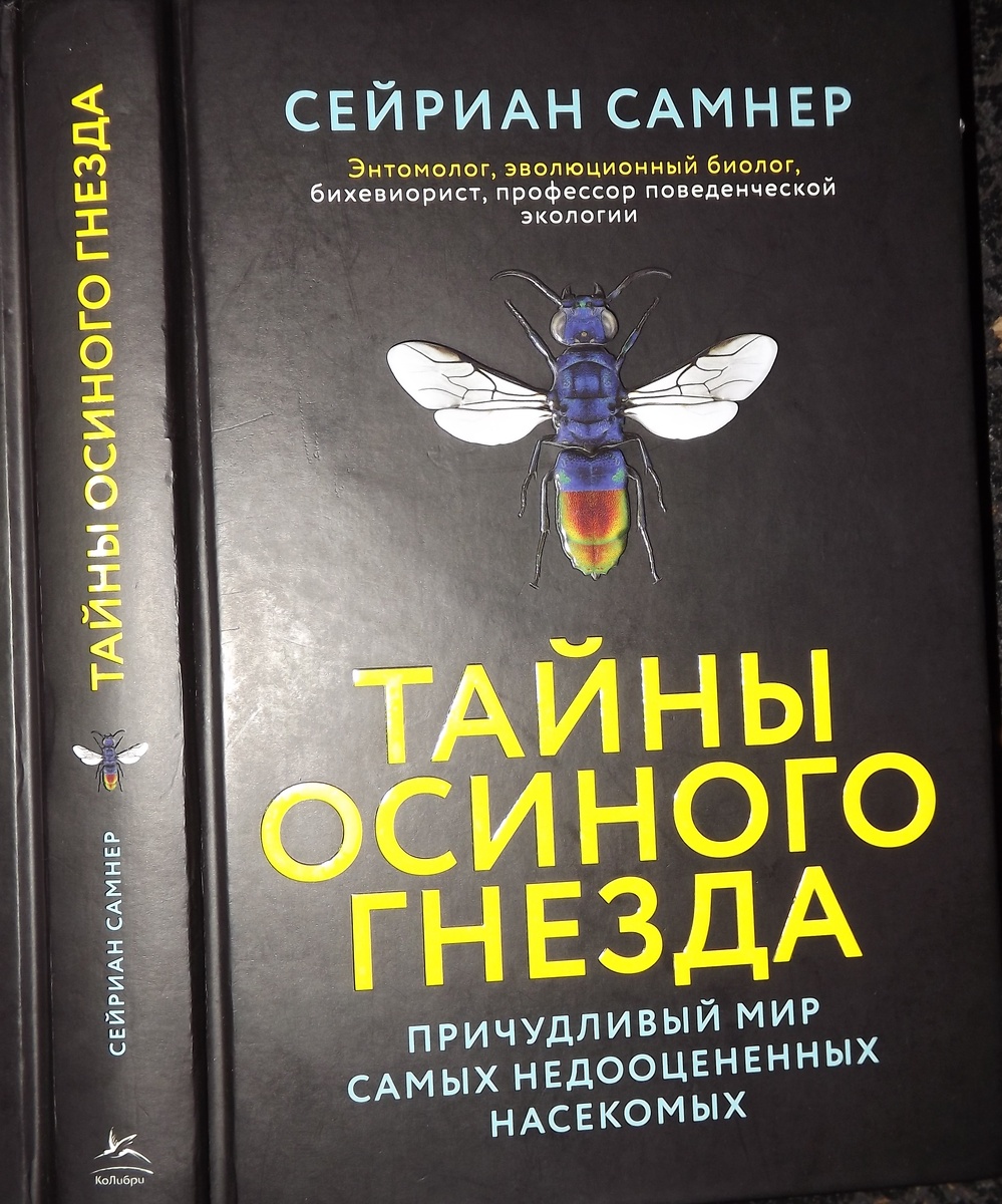 Фото обложки