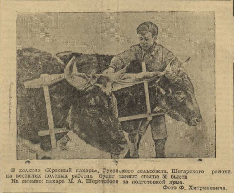 Красное Знамя