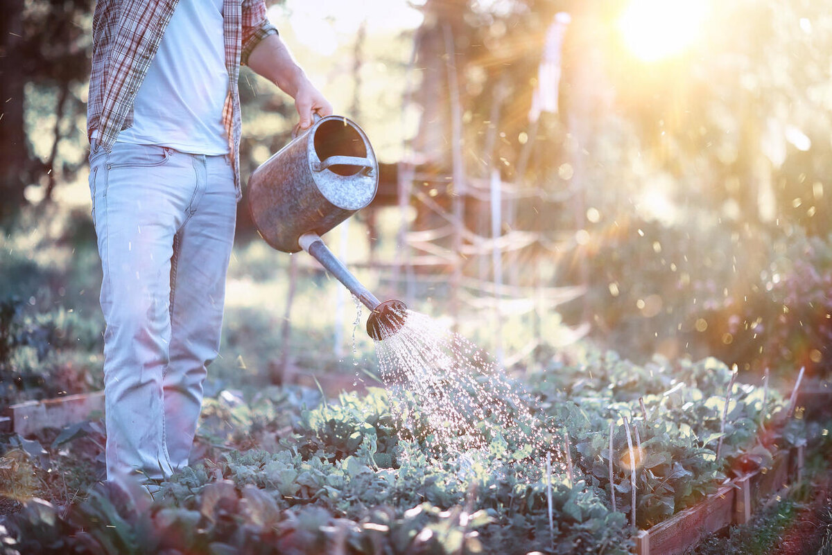     123RF/legion-media.ru