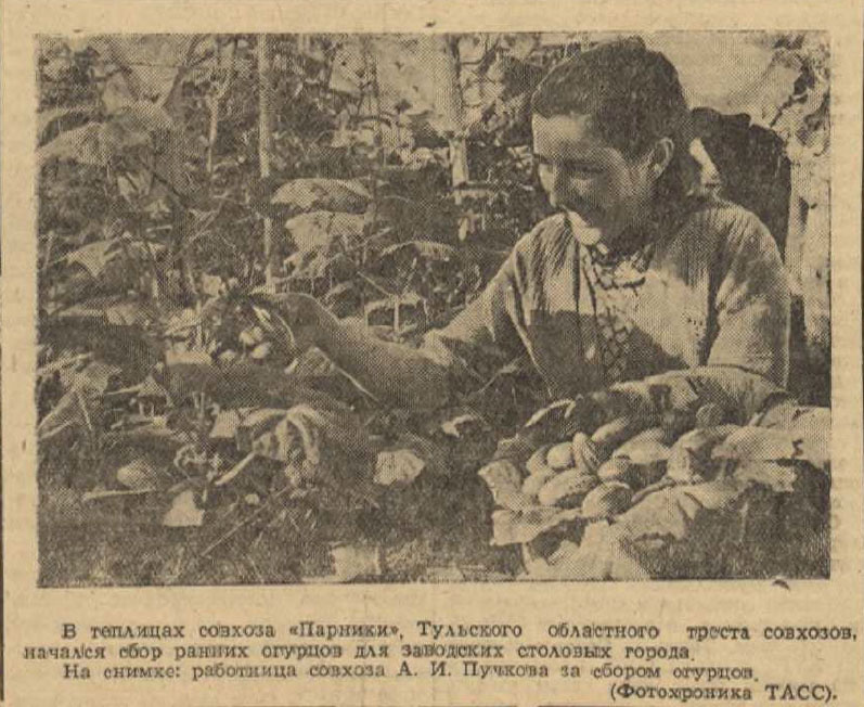 Красное Знамя