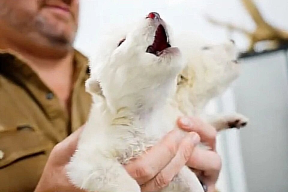 Фото из интернета