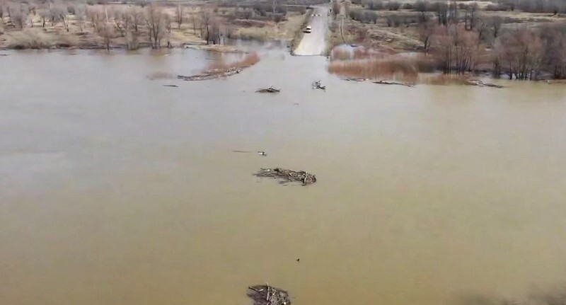 Фото: скриншот видео