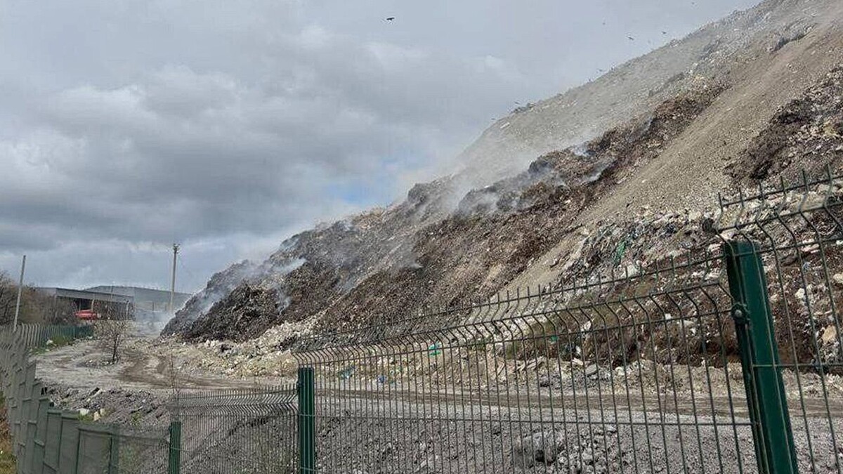    Фото: газета «Новороссийский рабочий»