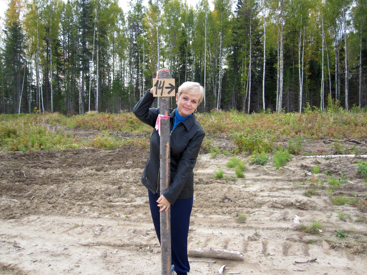 Фото автора. Номер участка совпал с номером нашей квартиры. И мы увидели в этом добрый знак.