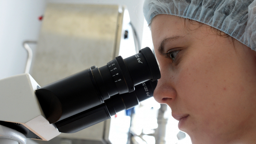    Фото: © РИА Новости/Сергей Пятаков