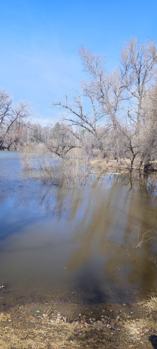 Такая картина была весной. Отражает мое настроение