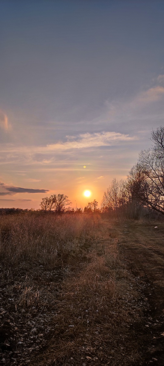 Фото сделано весной. Отражает мое настроение
