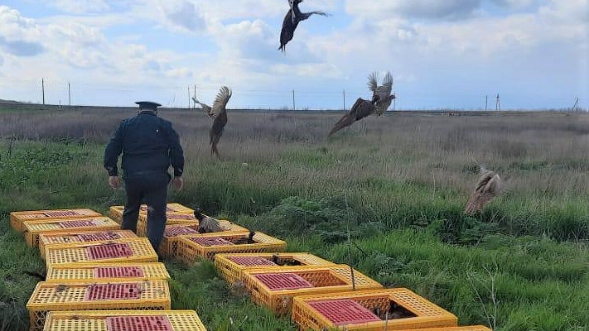    Фото: Администрация Краснодарского края