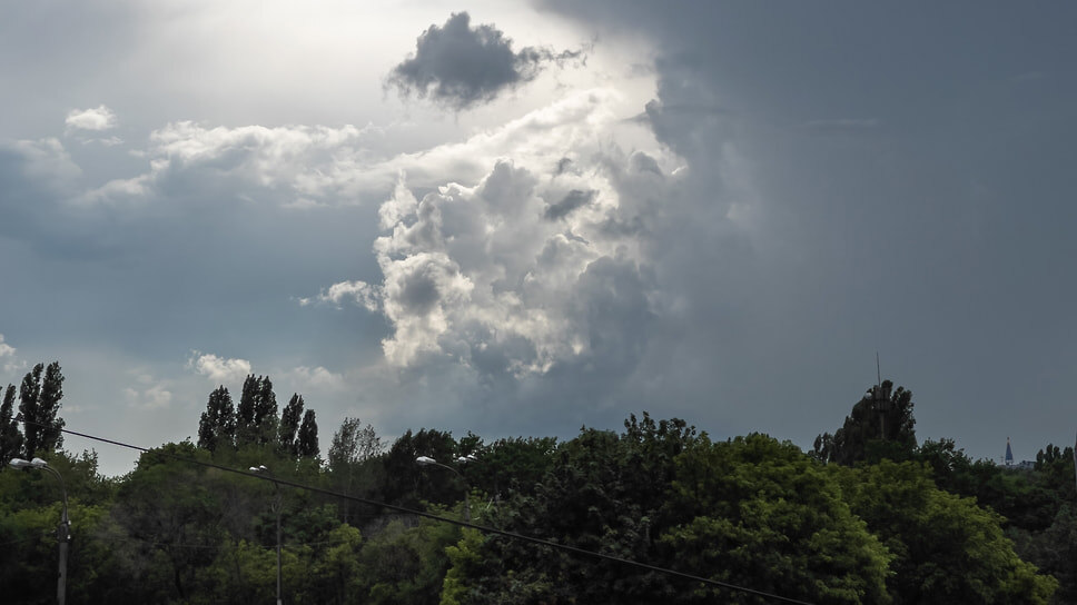 Фото: Игорь Елисеев / Коммерсантъ