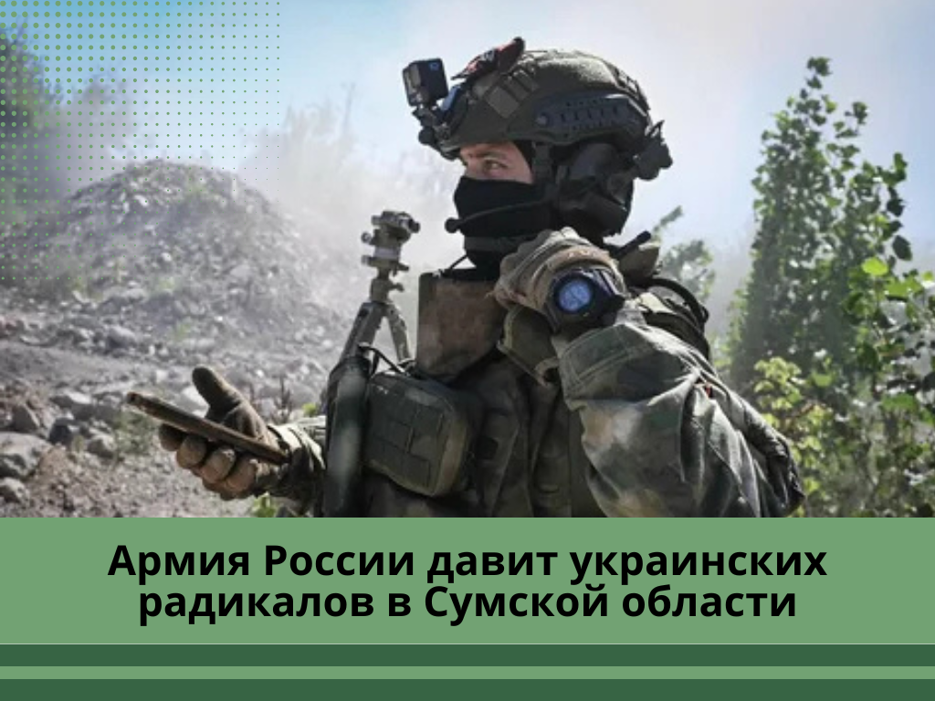 Фото: yandex.net