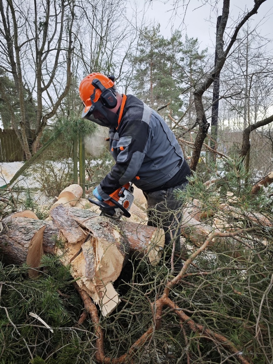 Спил дерева с автовышки
