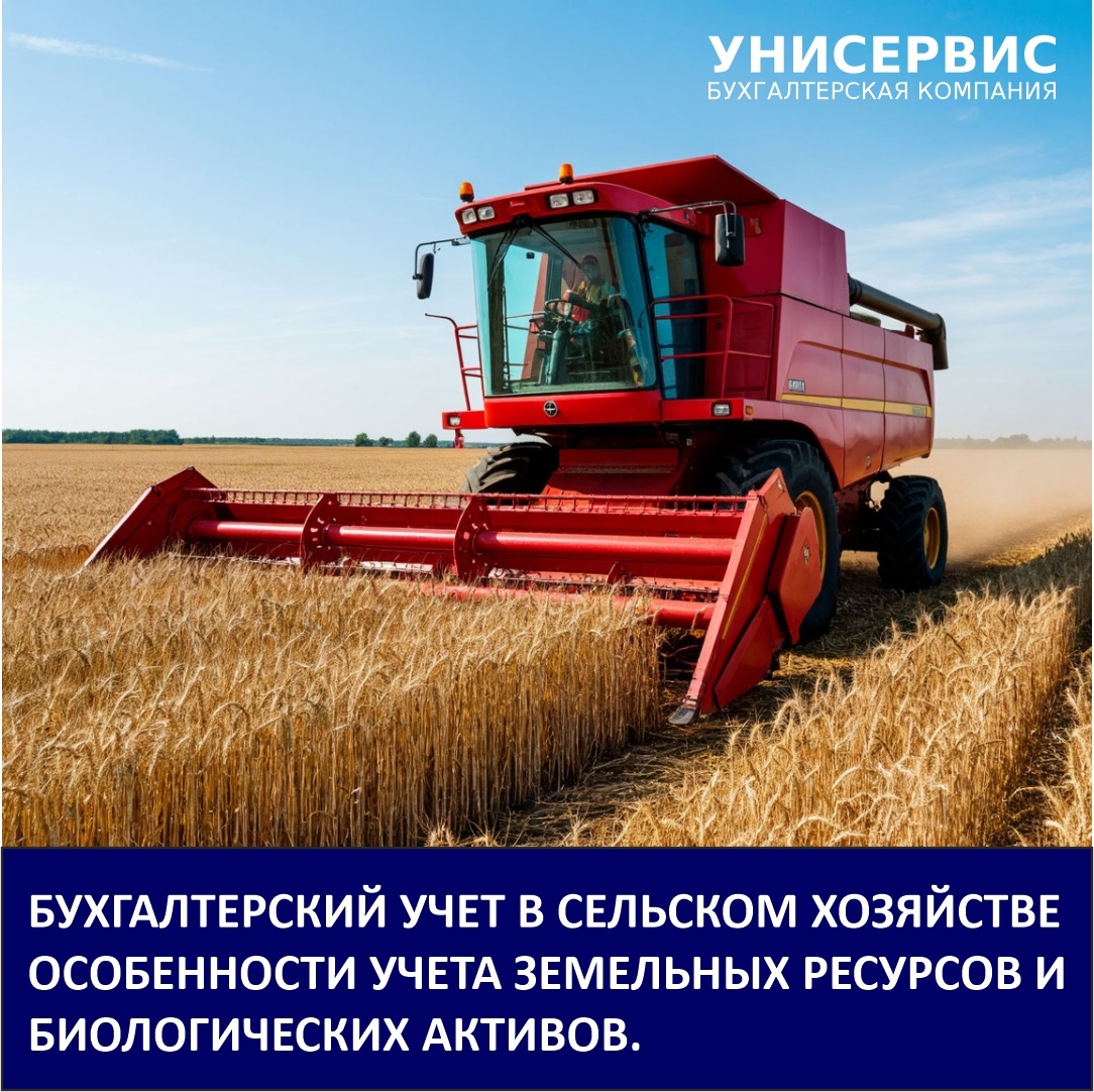 Бухгалтерский учёт в сельском хозяйстве. Бухгалтерская компания Унисервис-Консалтинг. Изображение создано с использованием ИИ.