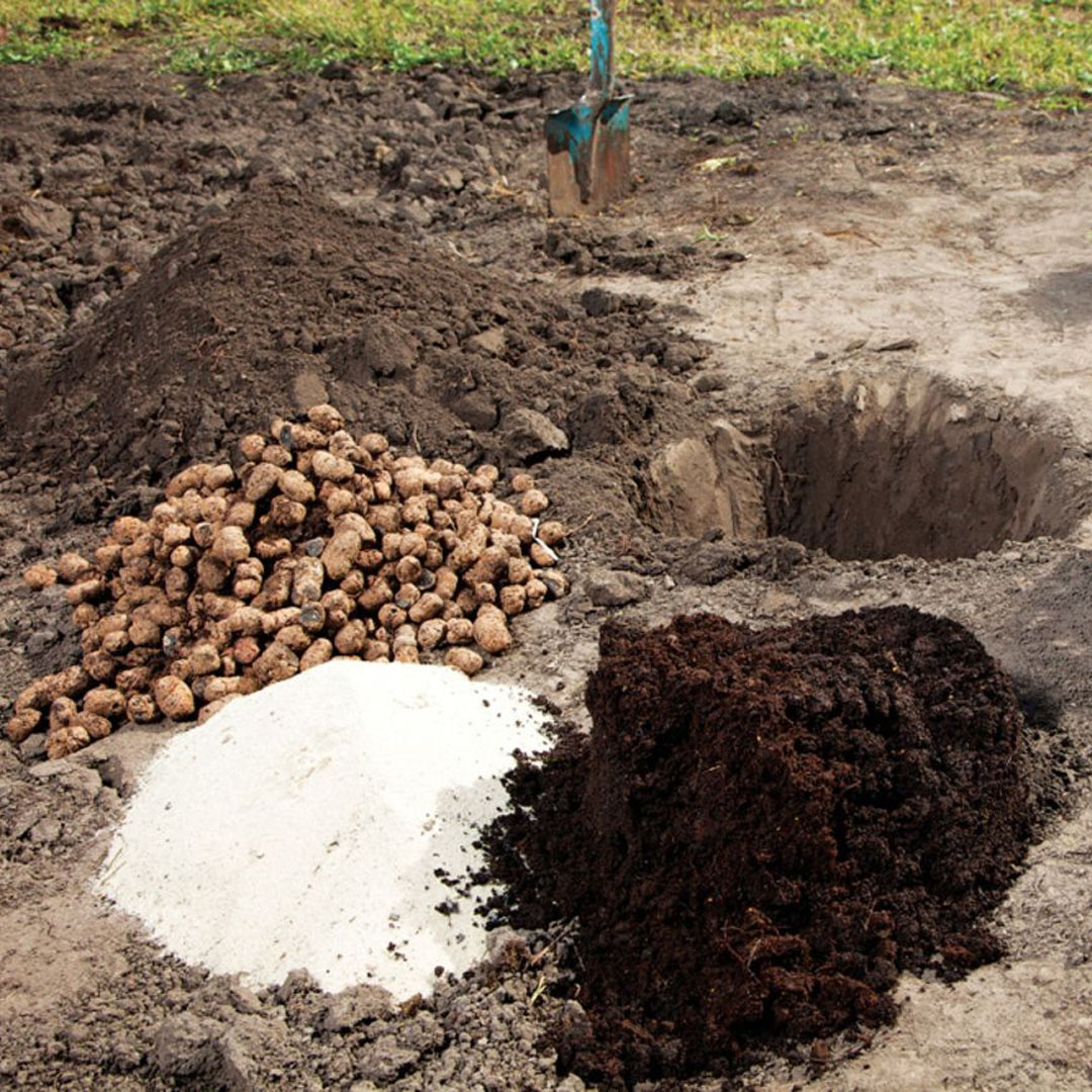 Перед посадкой не мешает определится с типом почвы на вашем участке