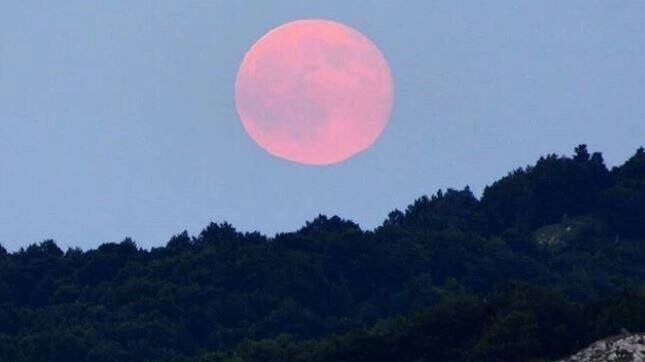     Источник: telegram-канал Ишим пере Подслушано