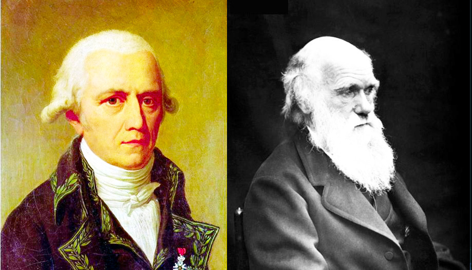 Отцамиоснователями теории эволюции были и Ламарк, и Дарвин. Но Дарвин открыл естественный отбор. А Ламарк — не открыл.