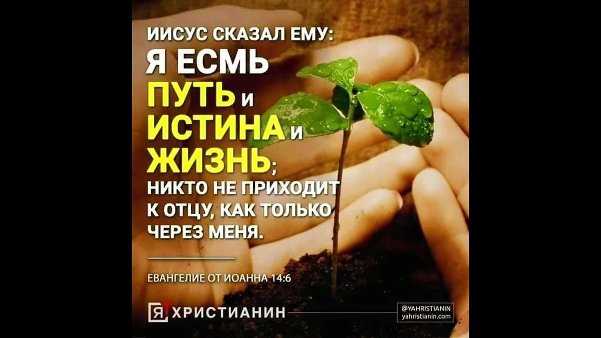 Картинка взята из общего и свободного доступа в интернет