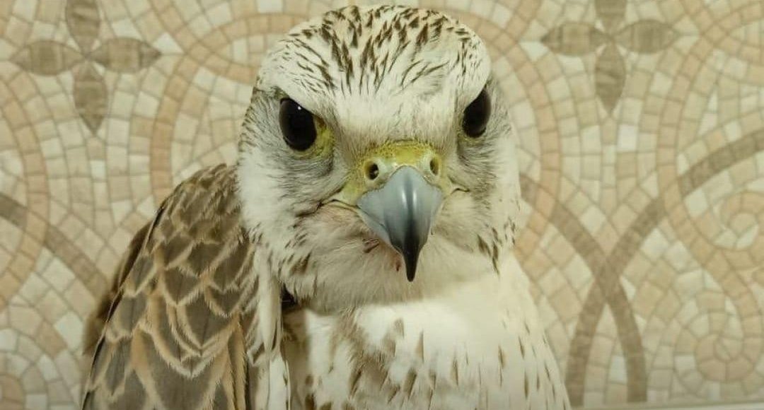    Фото: Росприроднадзор