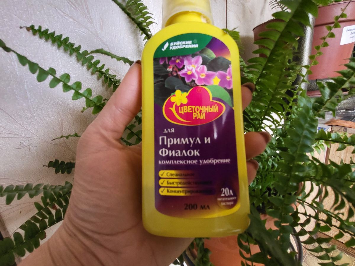 Любимое удобрение для сенполий