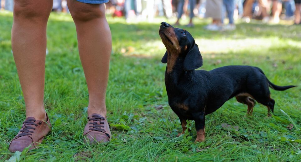    Медиасток.рф