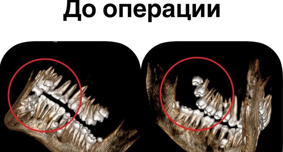    ДКЦ им. Л. М. Рошаля