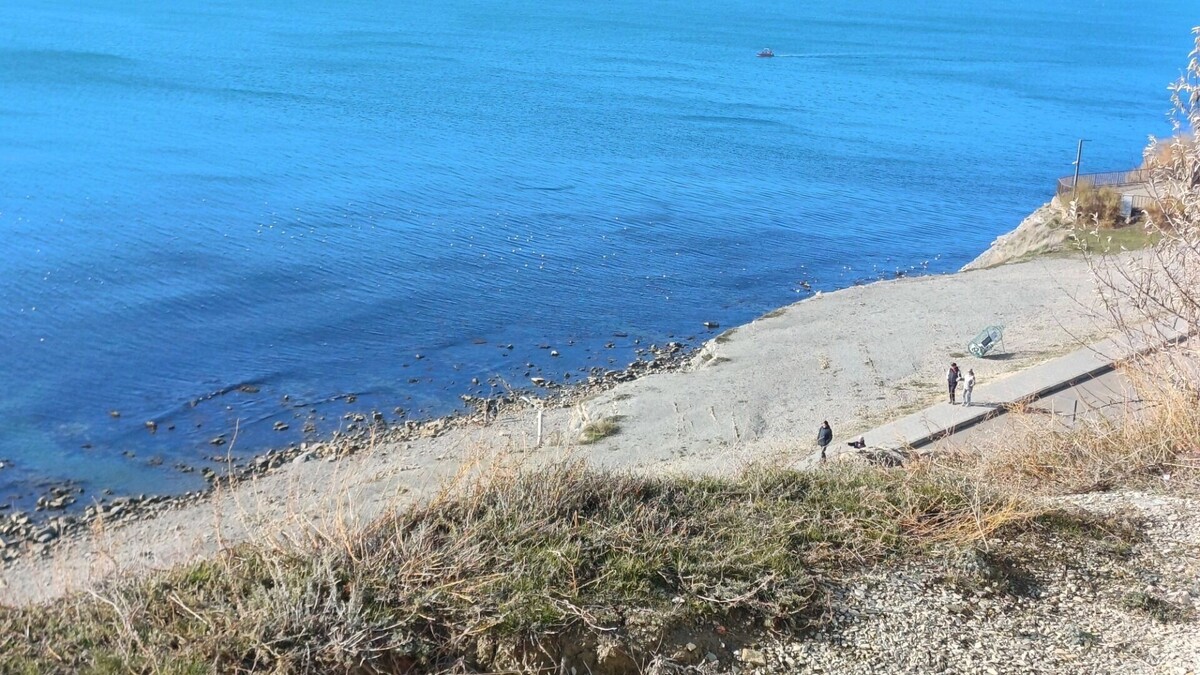     Автор: KubanPress