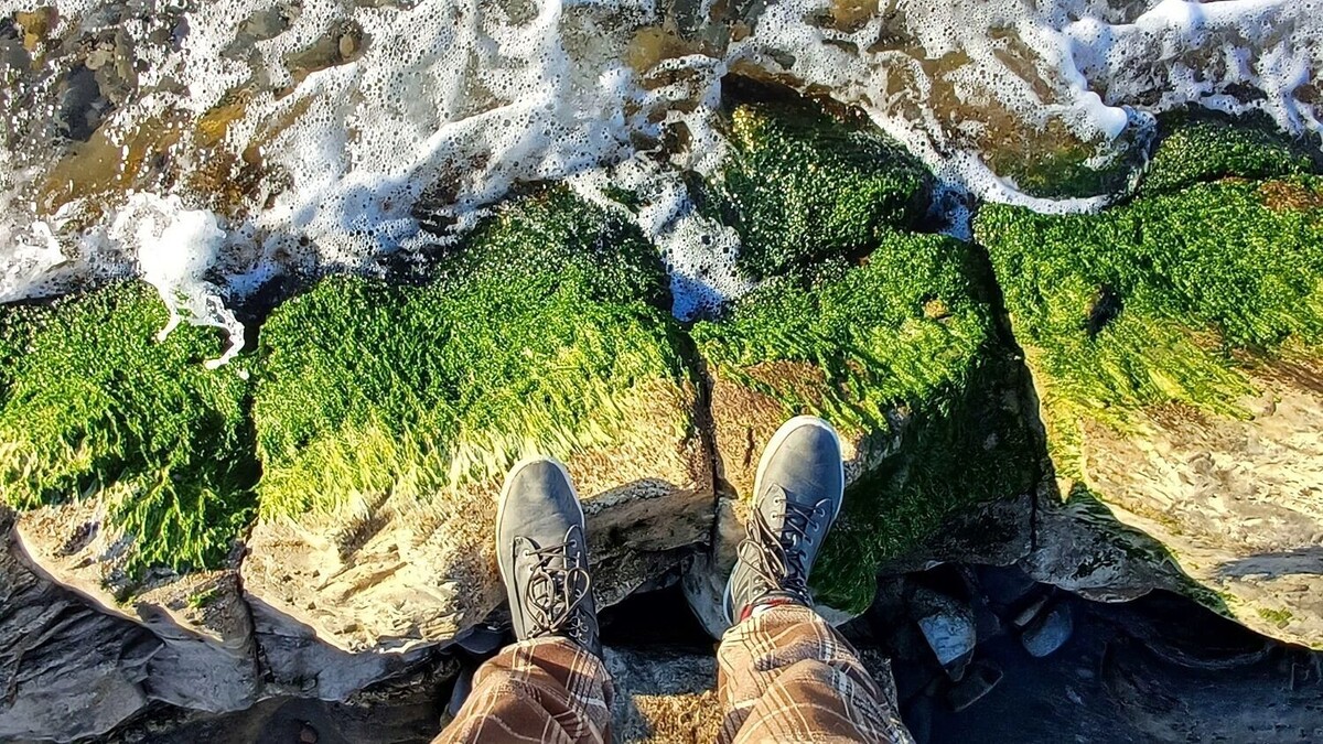     Автор: KubanPress