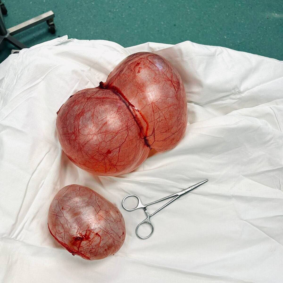 Фото: пресс-служба РКБ