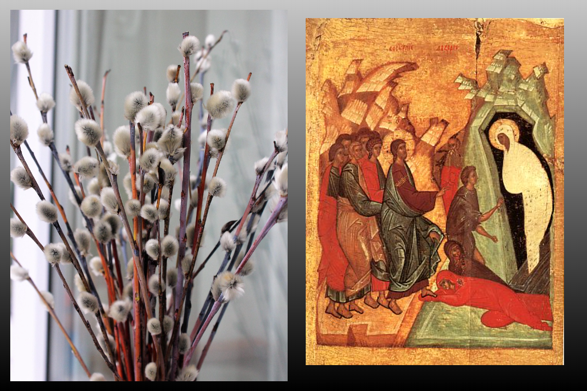 Икона Воскресение св.Лазаря/azbuka.ru, Верба/pixabay.com