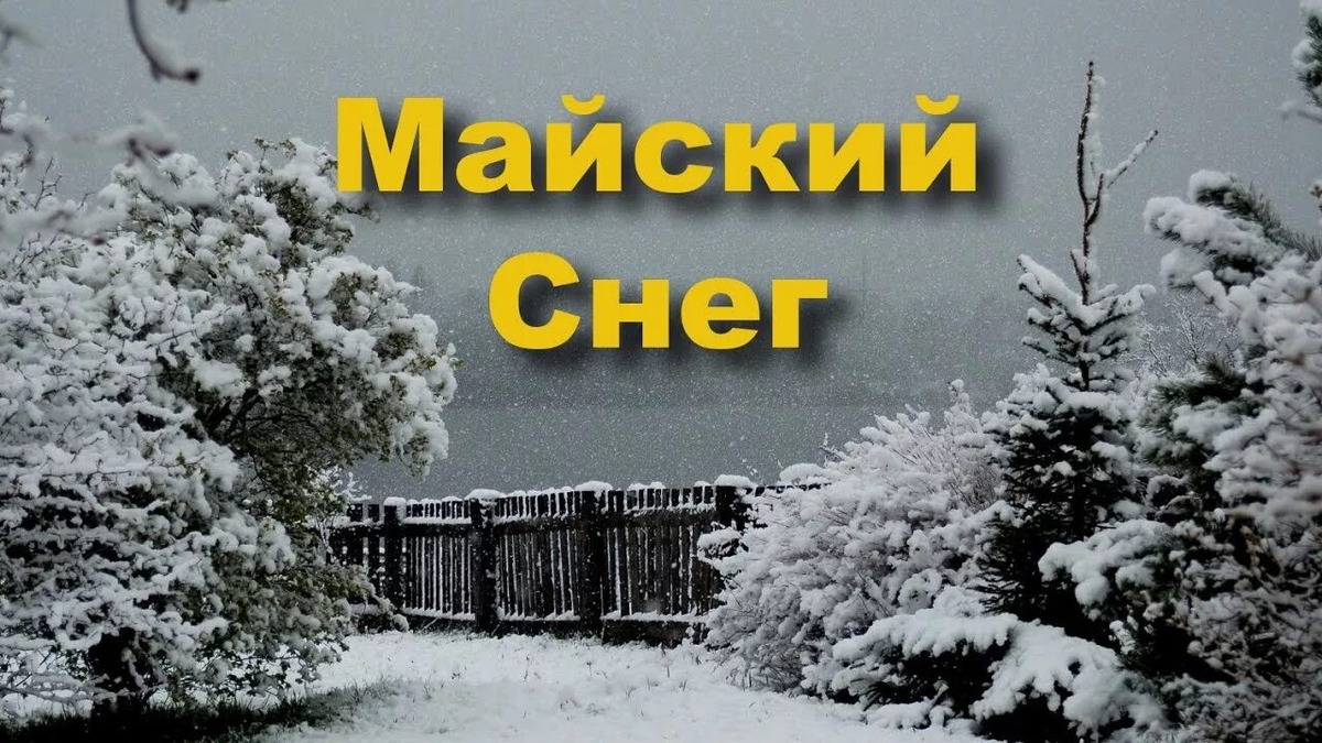 фото с сайта Яндекс-картинки