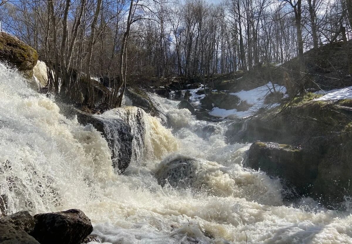 Фото: UfacityNews.ru