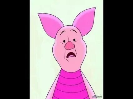 Фото взято из открытых источников.