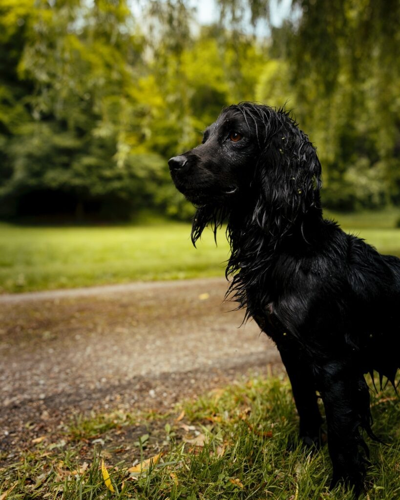 Орла. Социальные сети королевской семьи