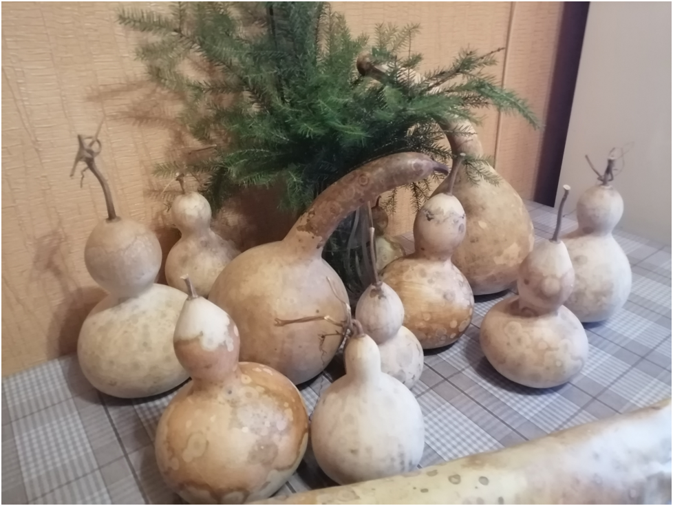 Личное фото автора. 