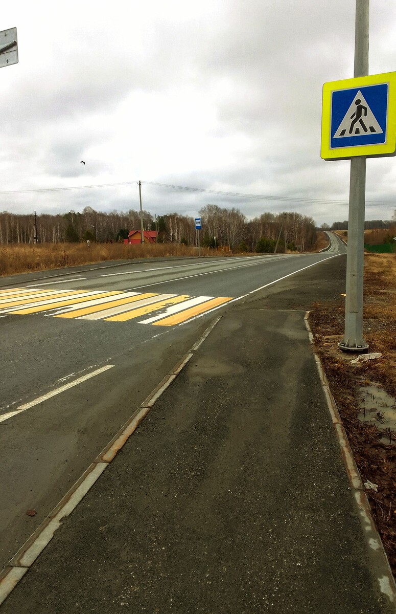 Утренняя обстановочка, жду автобус в город