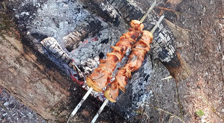   Для деревянного мангала выбирайте бревна диаметром не менее 15 см (Shutterstock/FOTODOM)