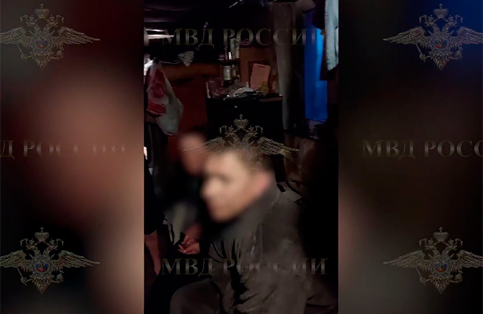    Телеграм-канал официального представителя МВД России Ирины Волк