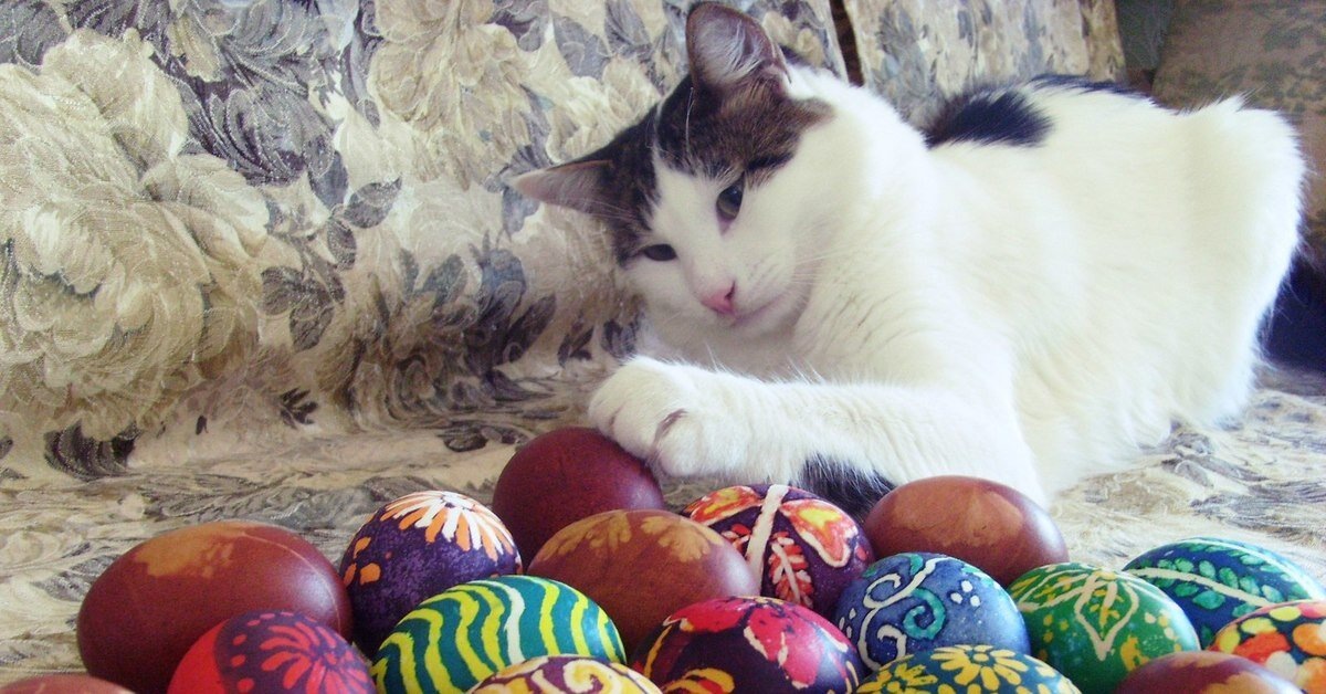 Фото из Интернета.