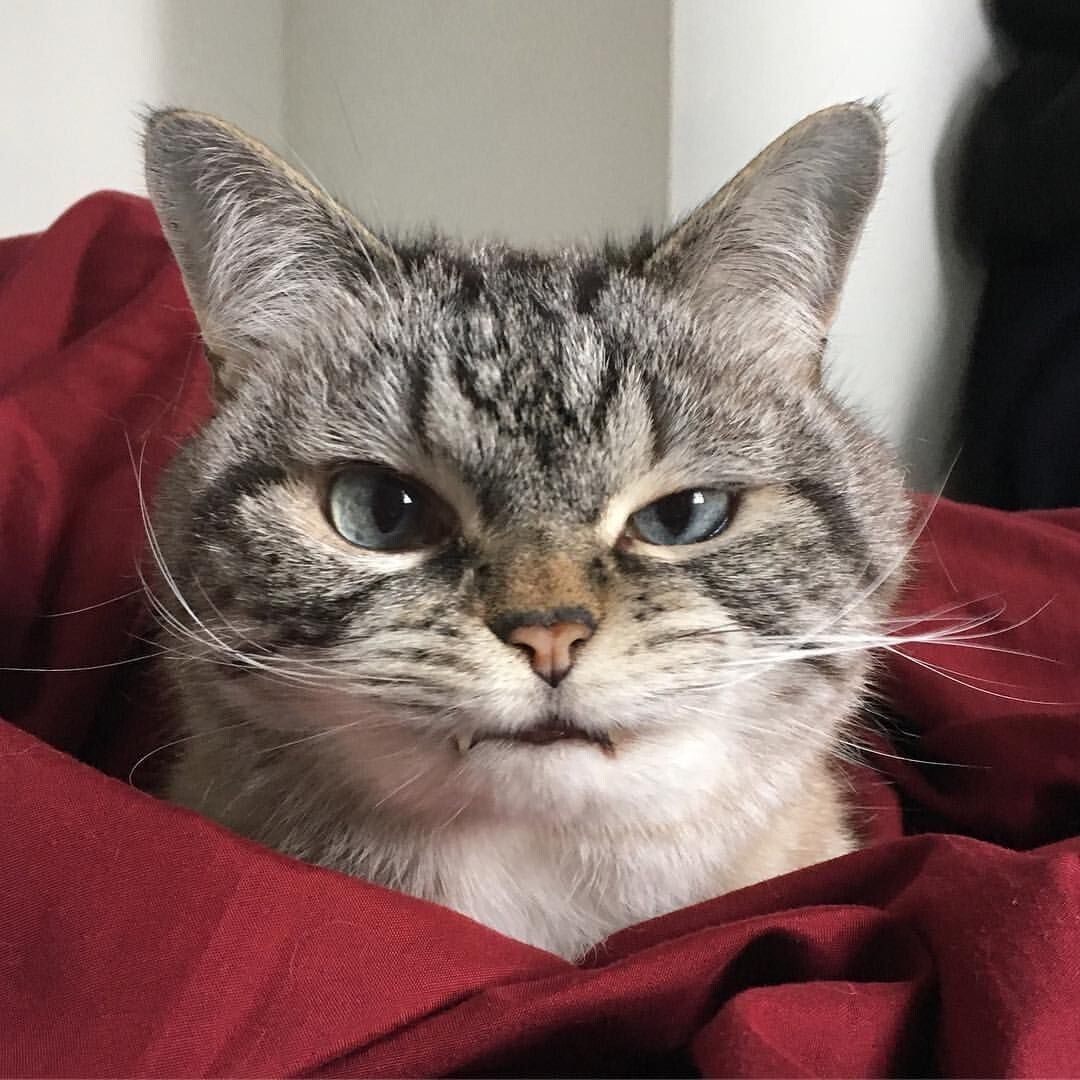 Фото из Интернета.