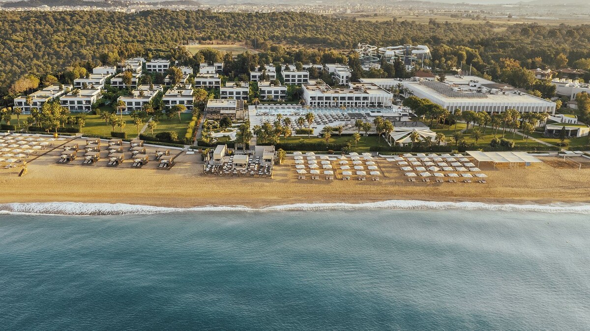 Источник изображения https://content.coral.ru/resize/1600x900/media/image/1/26674/638067171418648532.jpg