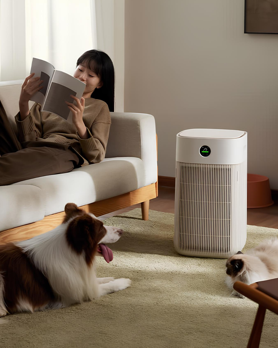 Источник: Xiaomi