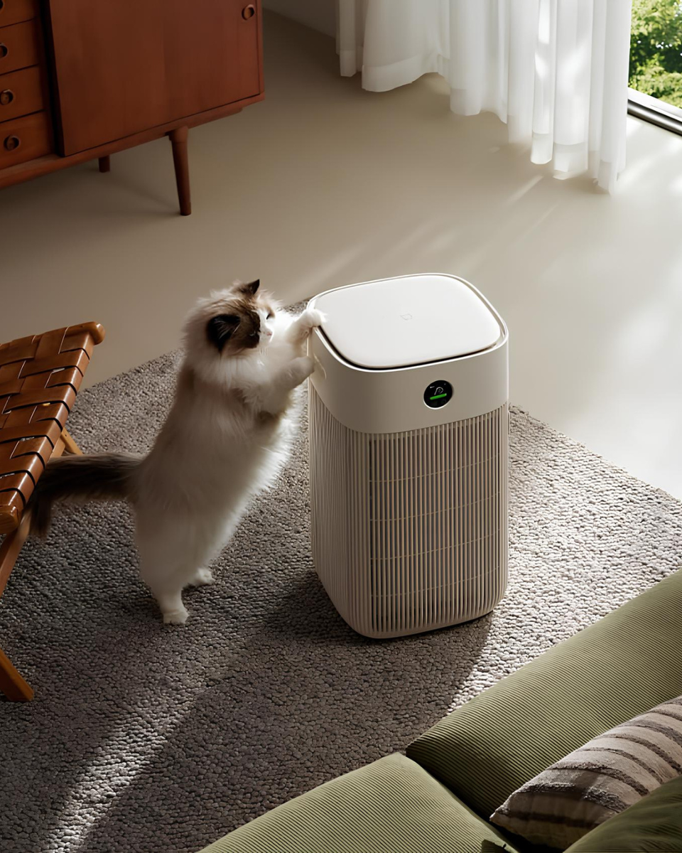 Источник: Xiaomi