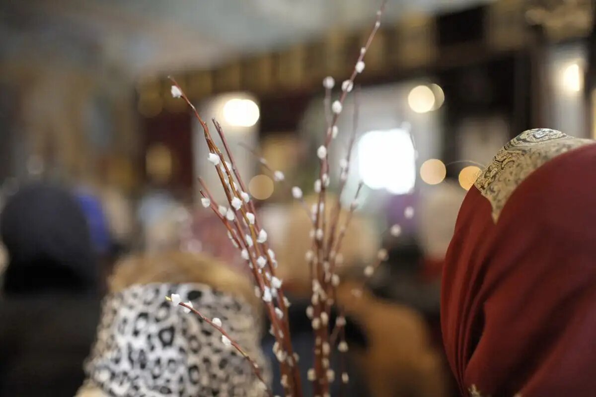    © АГН «Москва»