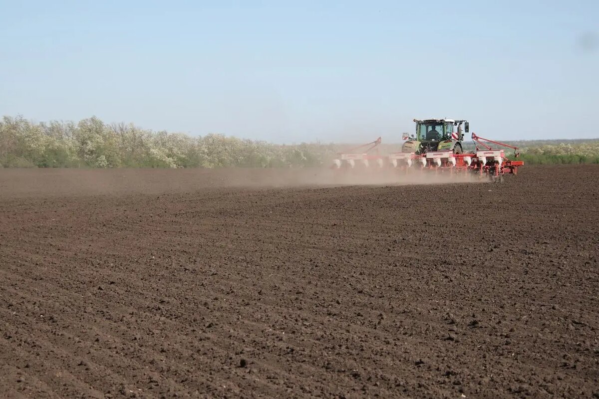     © "Интерфакс". Федор Ларин