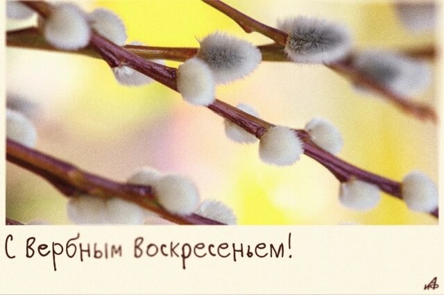    Фото:  АиФ/ Ксения Столетова