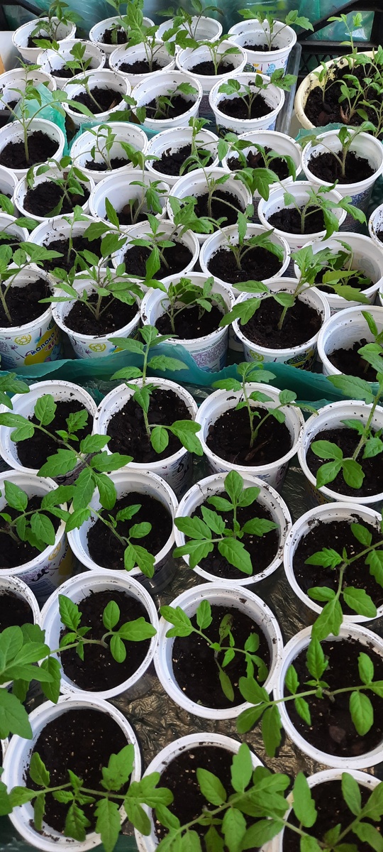 Мой вчерашний вечер...