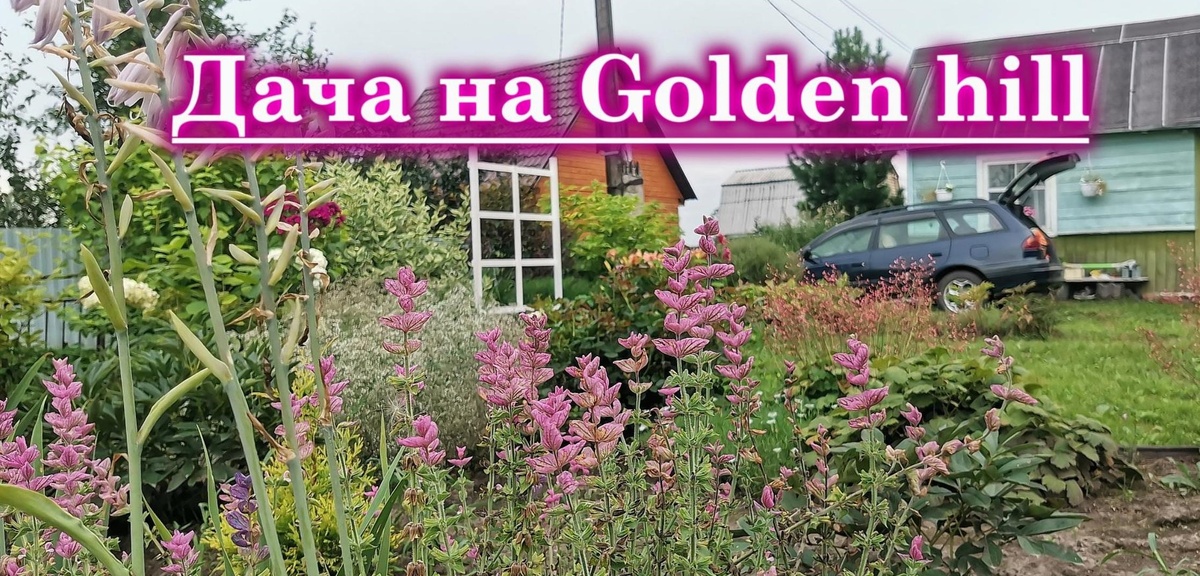 Фото профиля нашего канала